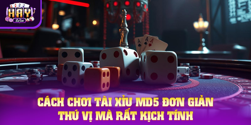 Cách Chơi Tài Xỉu MD5 Dễ Dàng Cho Người Mới Tham Khảo